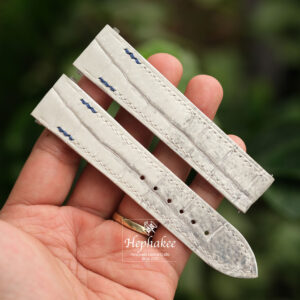 Himalaya Alligator Leather Strap For Cartier with quick Links System CA73